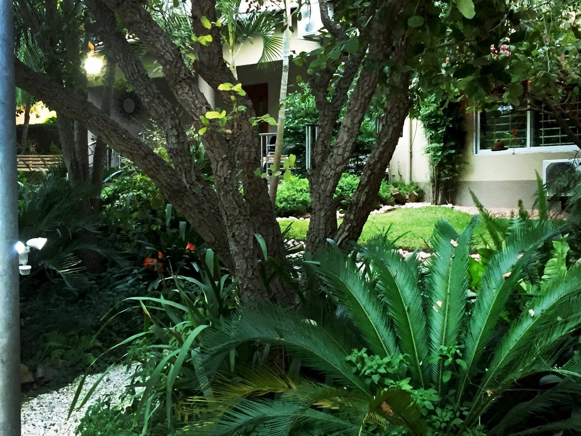 Palmwood Lodge Lusaka Buitenkant foto
